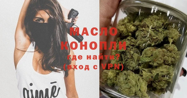 2c-b Бородино