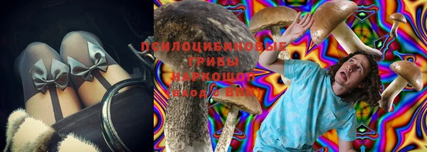 2c-b Бородино